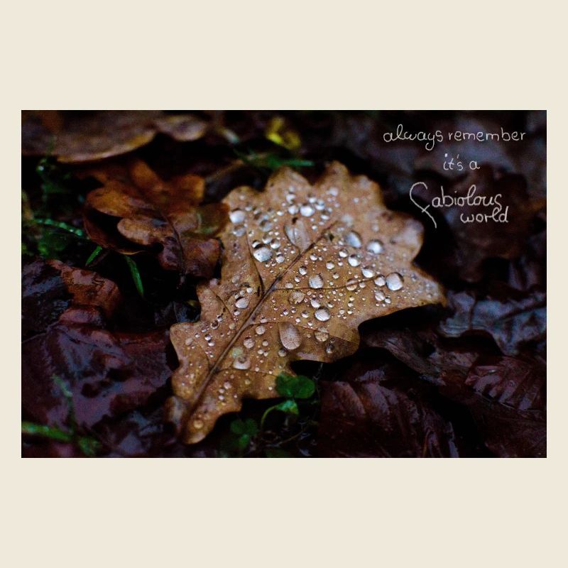 Monde fabioleux Feuille d’Automne