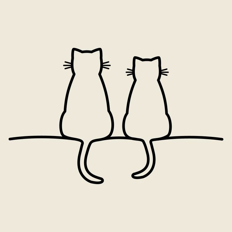 chats mignons chat amour amitié
