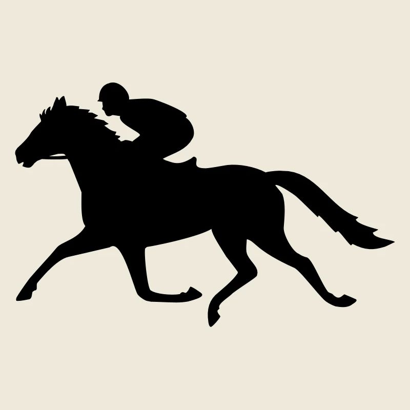 reiter reiten pferdesport