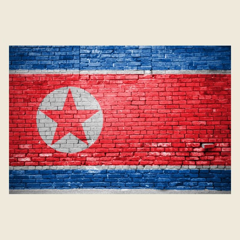Drapeau de la Corée du Nord Graffiti sur mur de briques