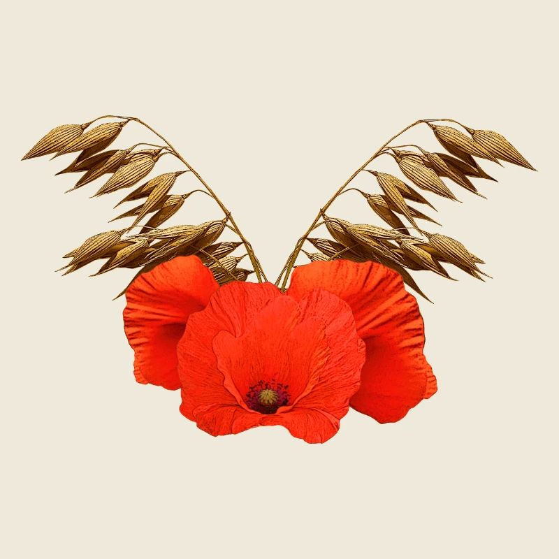 ländliche blumenmuster, Mohnmuster mit Hafer