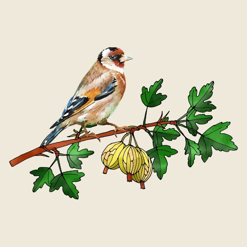 Vogel