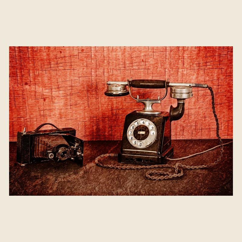 Fork phone with bellows camera