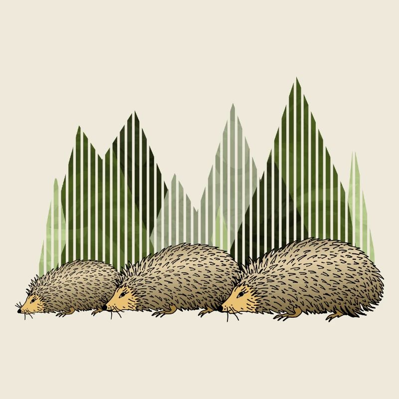 Hedgehogs