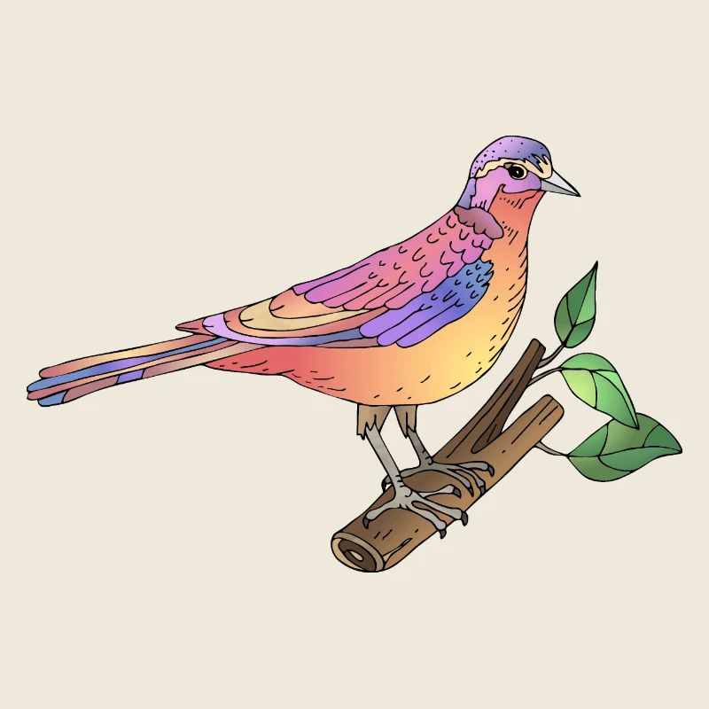 Oiseau coloré