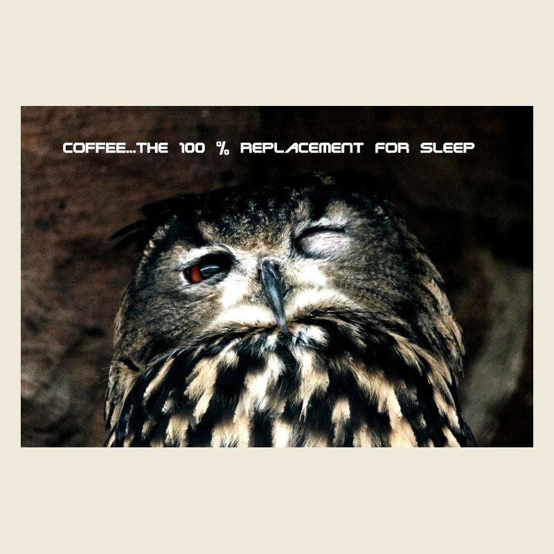 Eule, 100% replacement for coffee