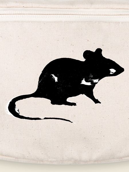 Ratte