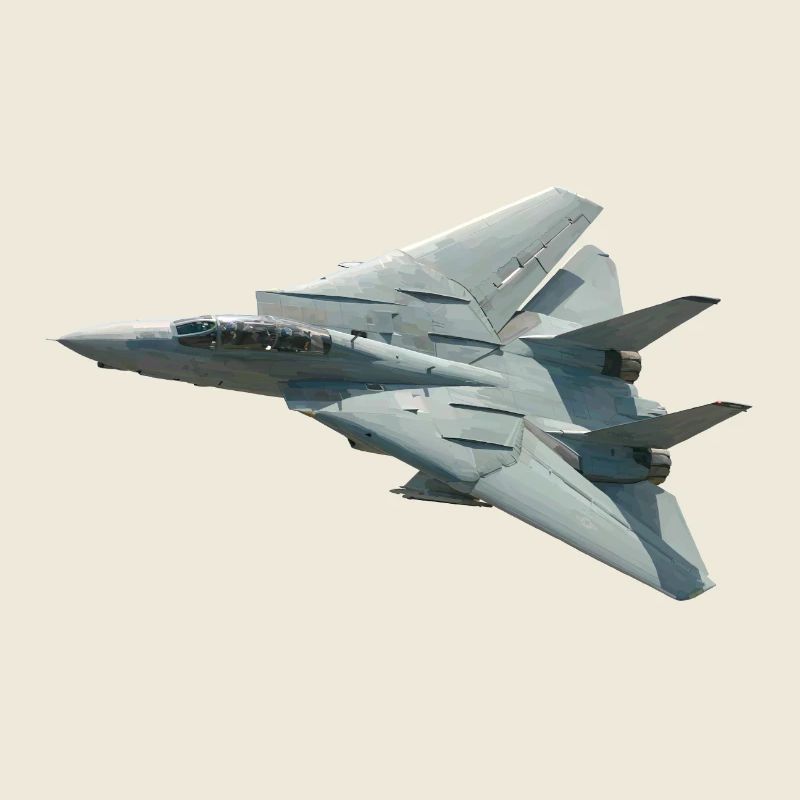 F-14 Tomcat
