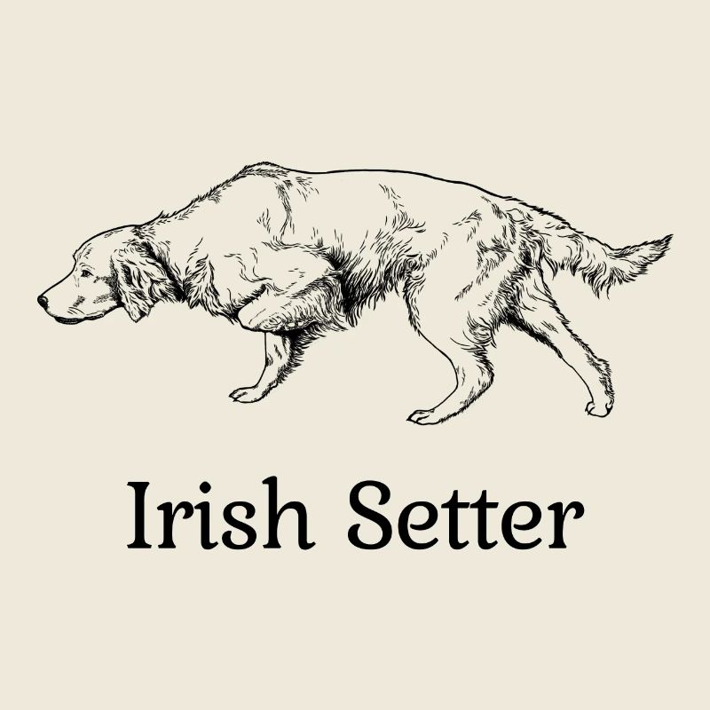 Irish Setter above