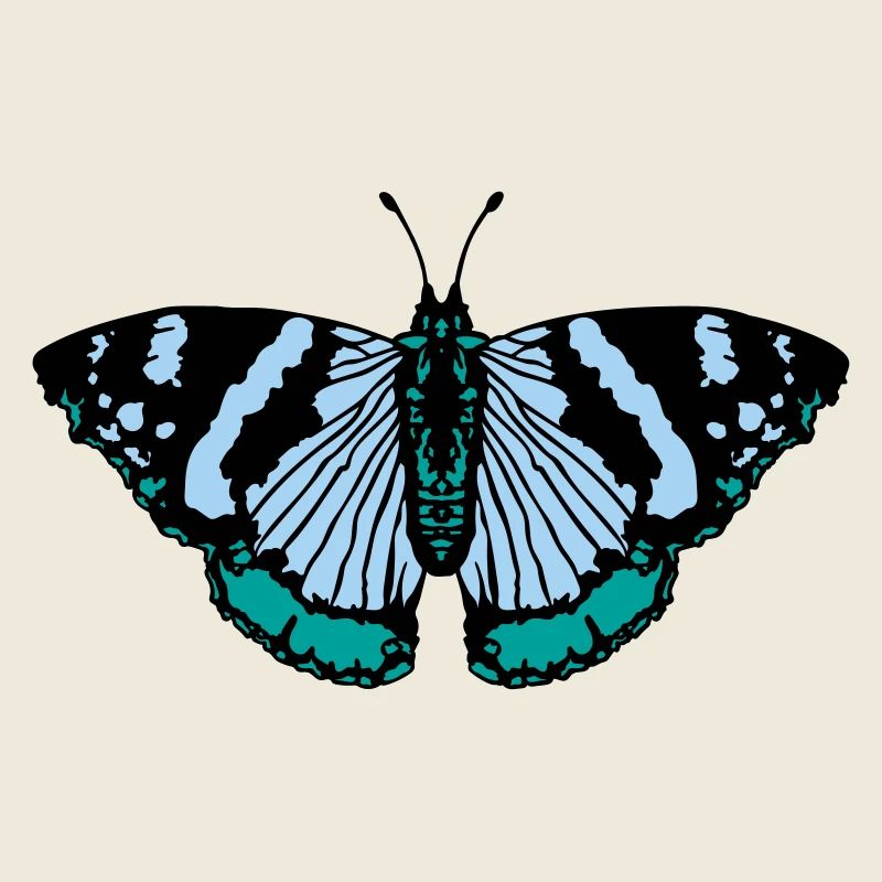 Schmetterling butterfly