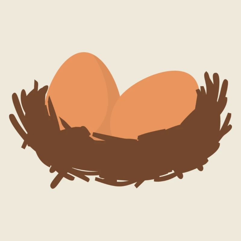 Oeufs Nid Oeufs Pâques