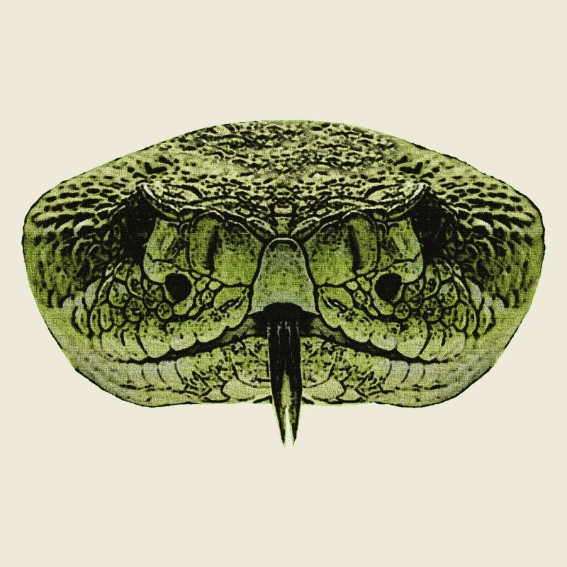 beste reptilien tees, schlangengesicht