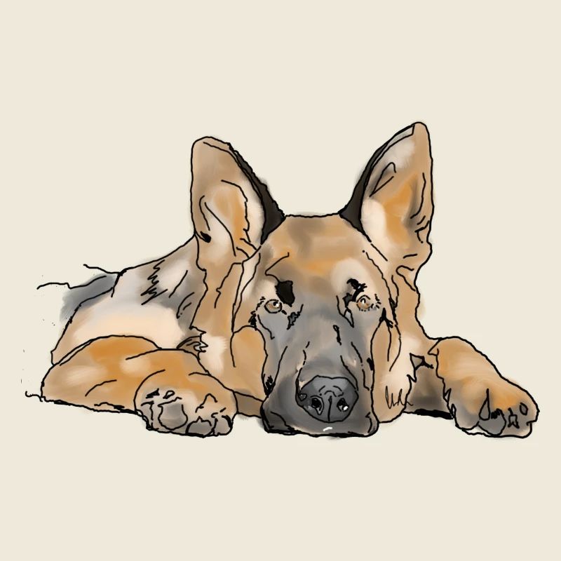 Schäferhund