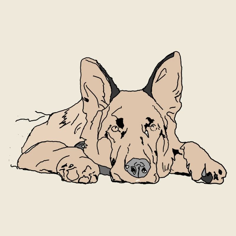 Chien de berger