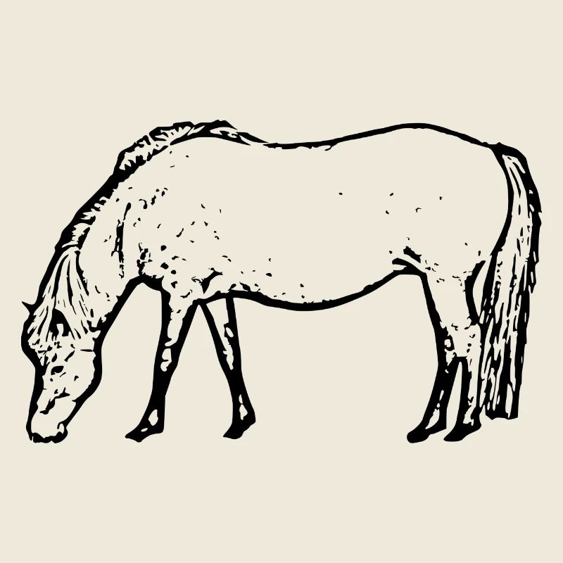Pferd schwarz