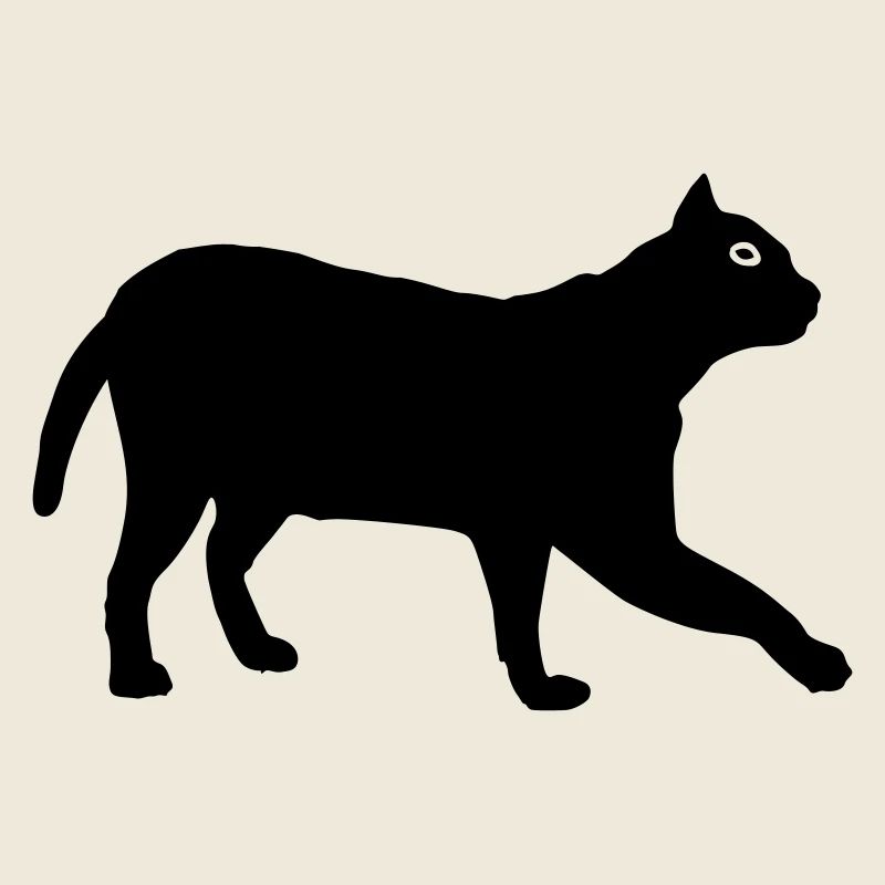 Cat 1