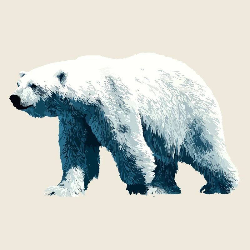 Polar Bär Eisbär