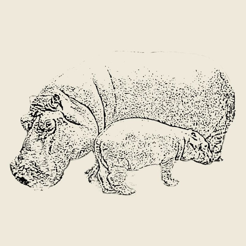 Hippo