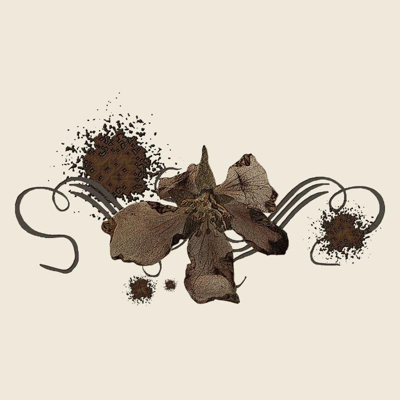 Verwelkte Apfelblume, Schnörkel, vanitas