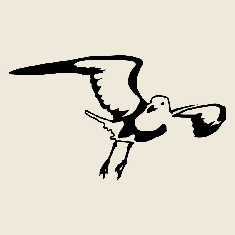 Möwe