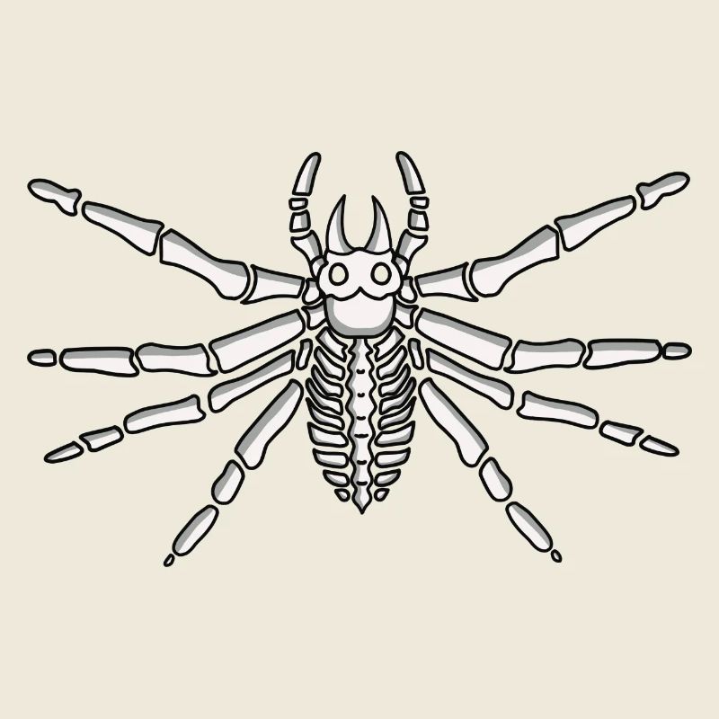 Spinne Halloween Skelett