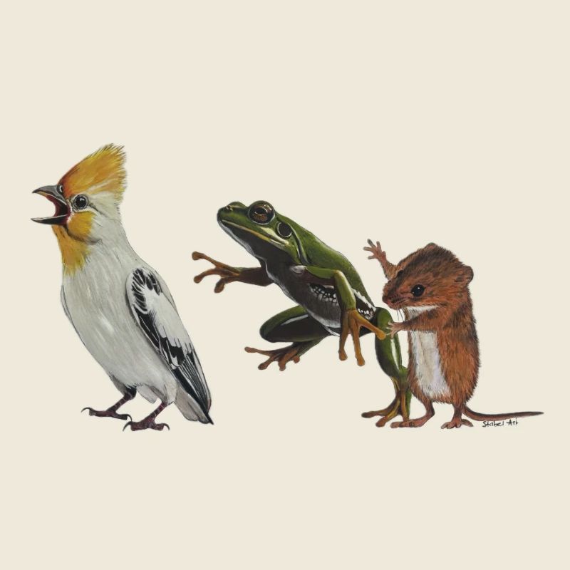 Die Polonaise oder Vogel, Frosch und Maus