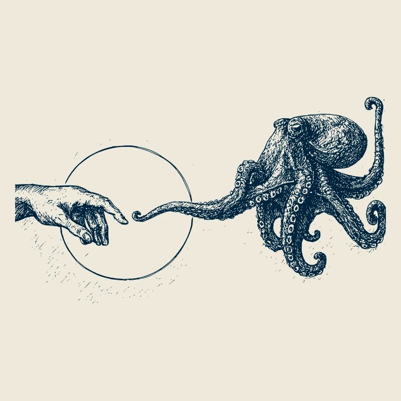 Oktopus - Kontakt