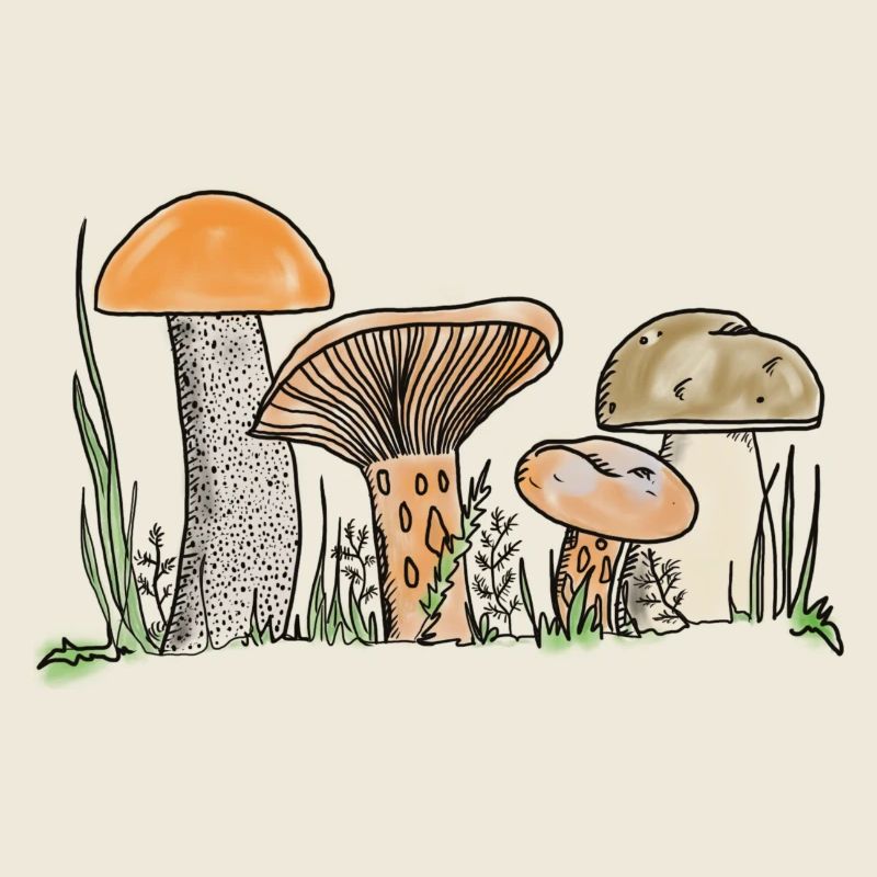 Mushrooms