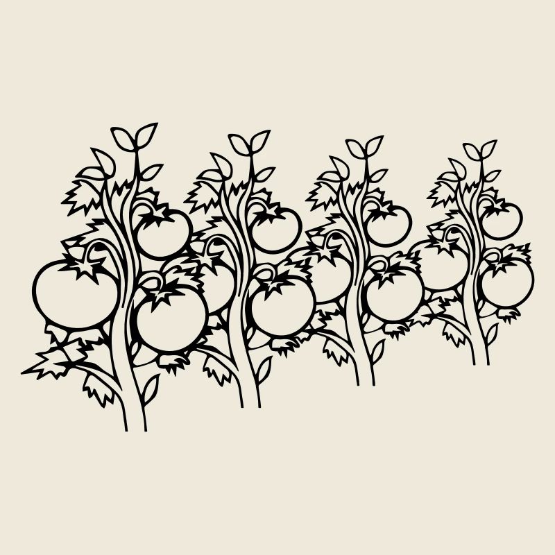 vegetable tomatoes