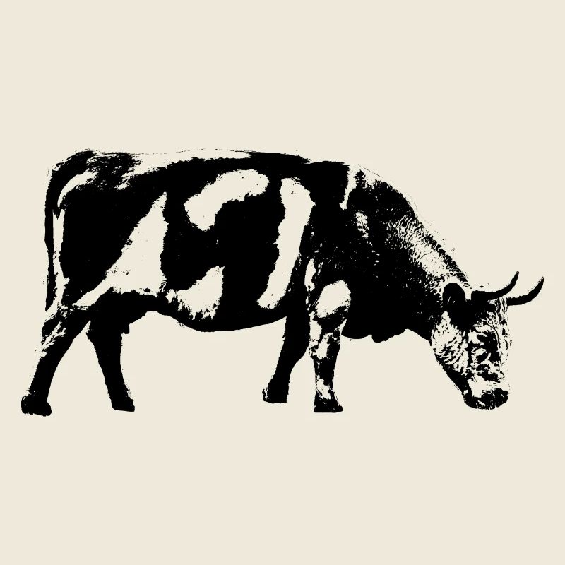 Vache / Bovins / Bovins / Vache