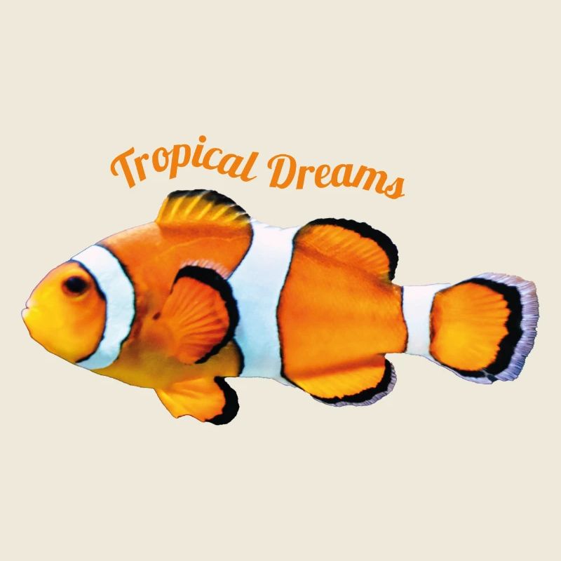 Clown Fish