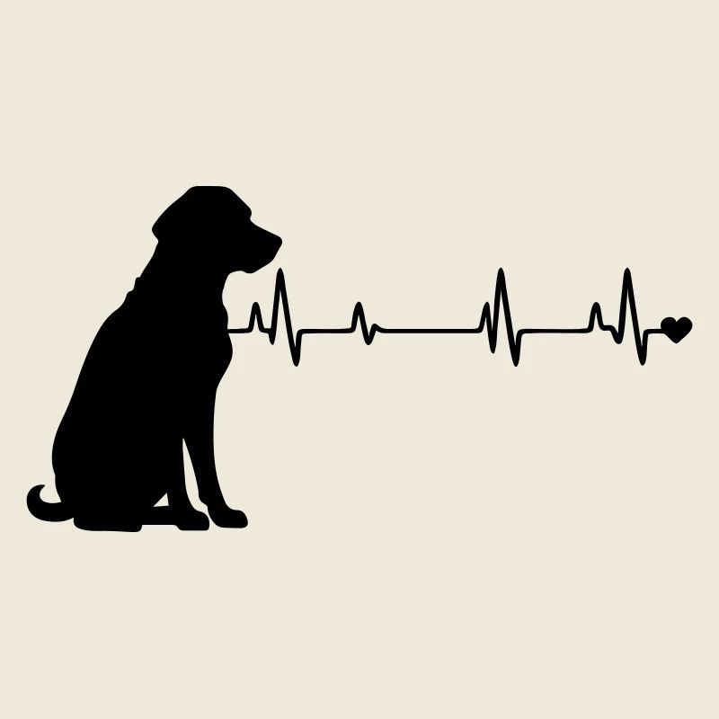 Hund