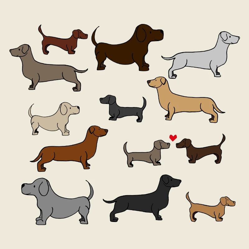 super cute dachshund, gift idea