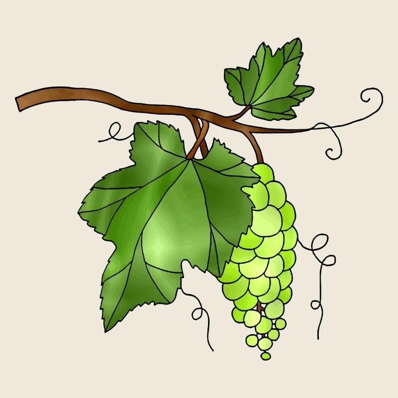 grapes