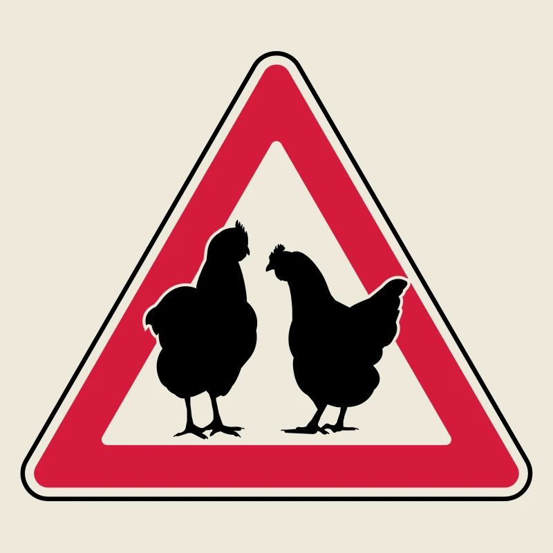 Poulet du soir Poulet attention poules élevées en liberté