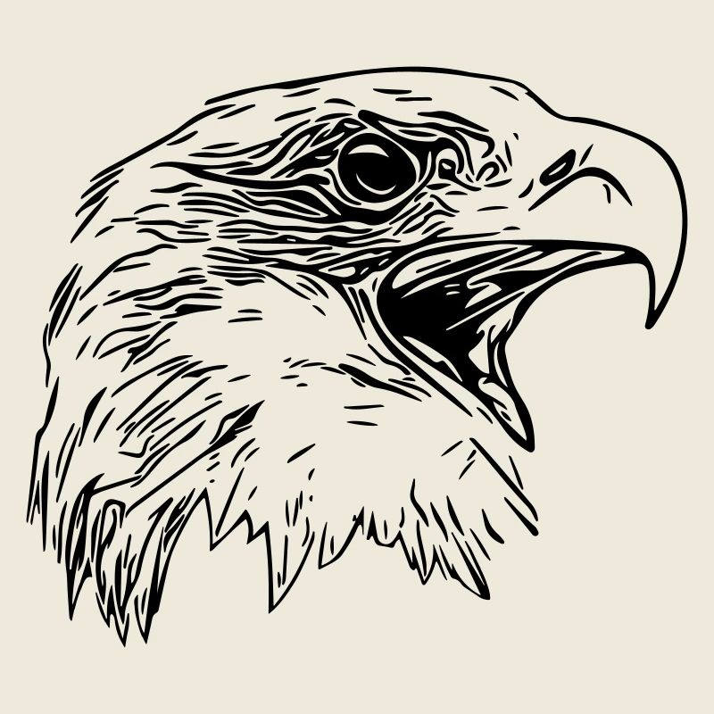 Adler Kopf - Königlicher Vector Greifvogel