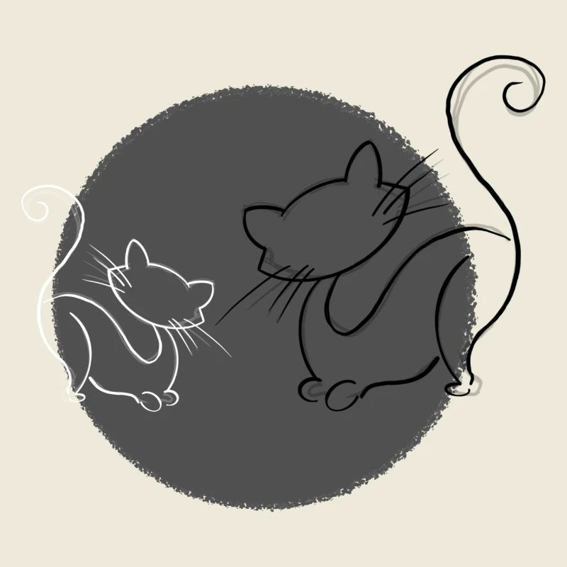 Cats Grey