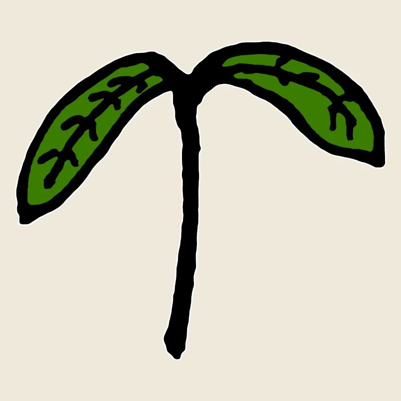 Sprössling Keimling Jungpflanze