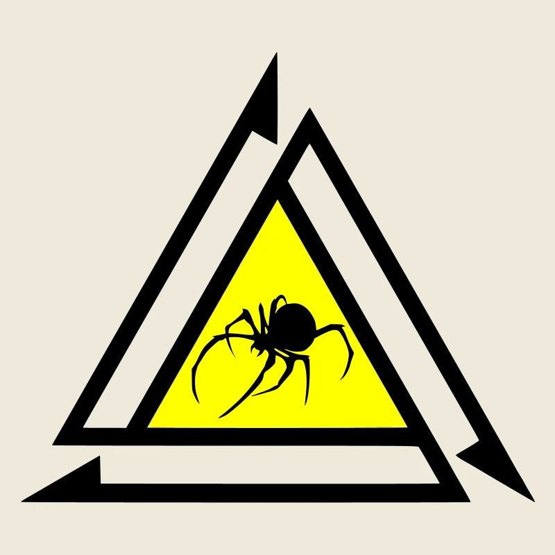 Spinne