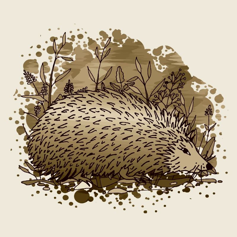 Igel