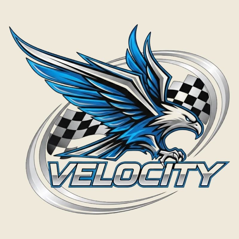 Speed Eagle Racing Design