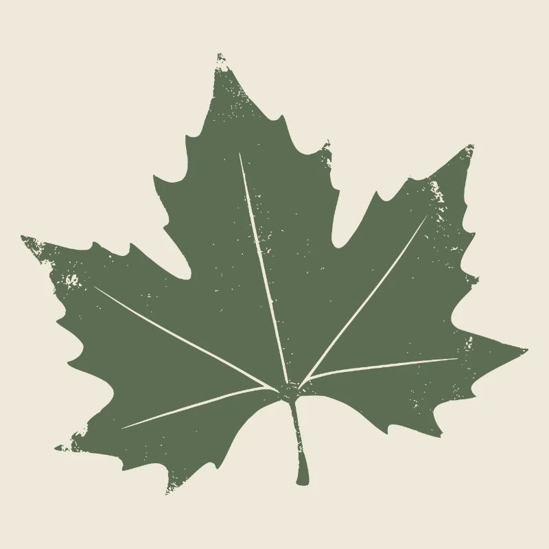 Feuille d’érable verte