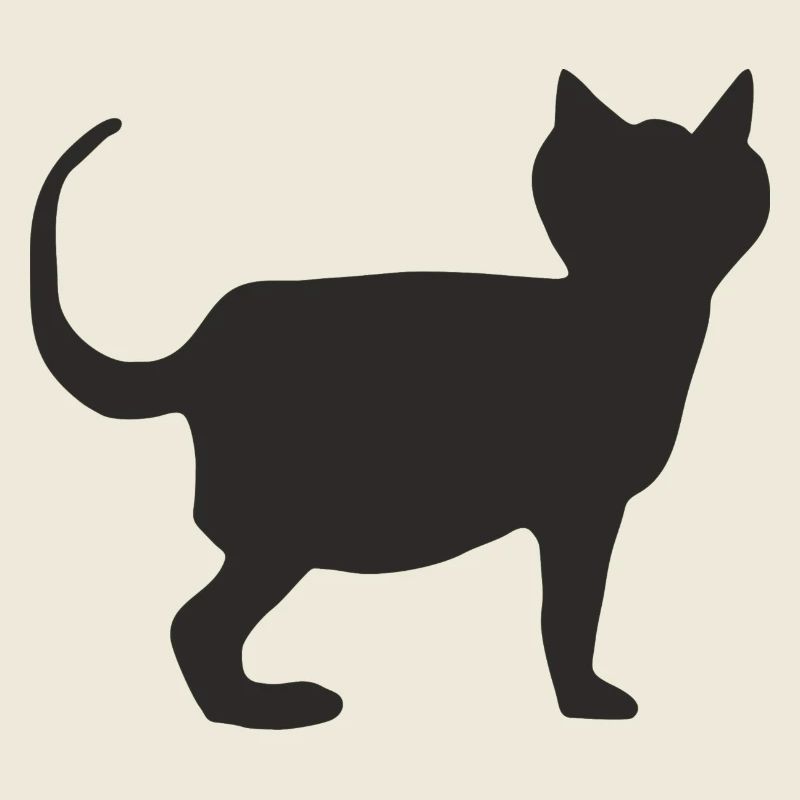 Chat Noir