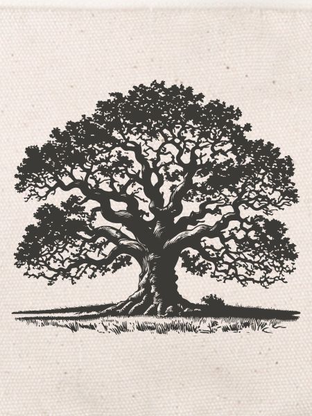 Oak