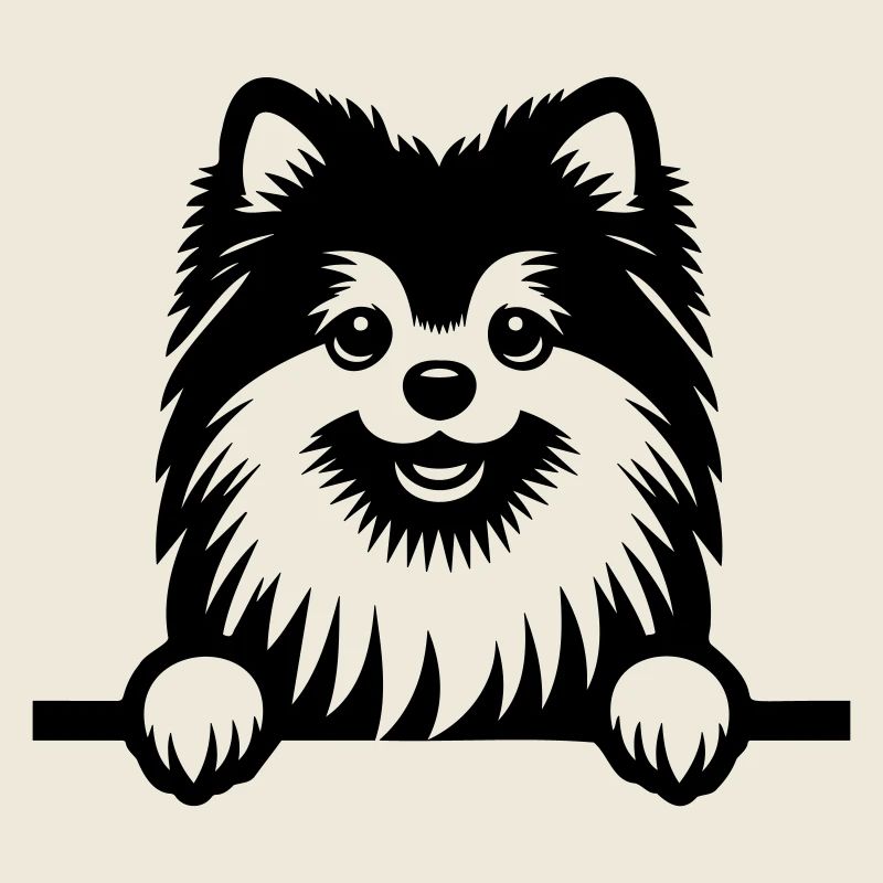 Pomeranian