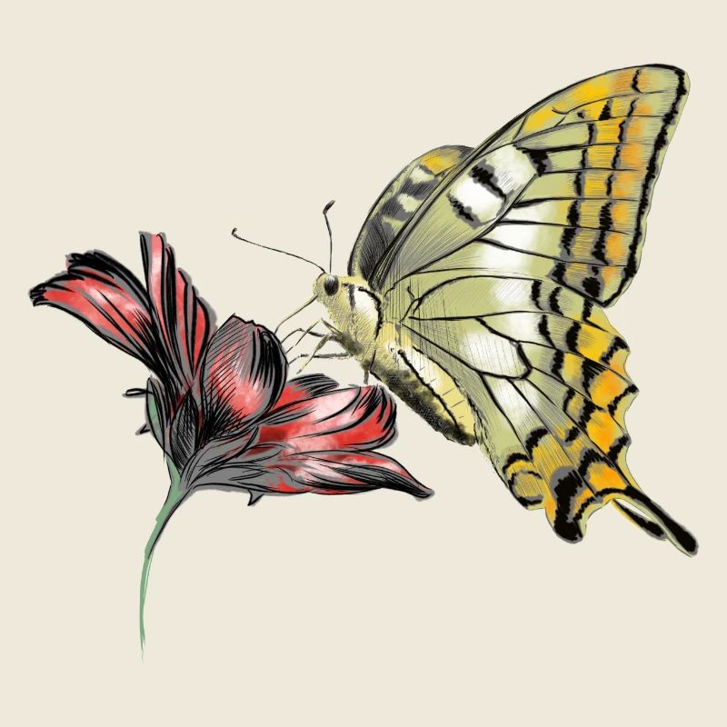 Butterfly in bloom