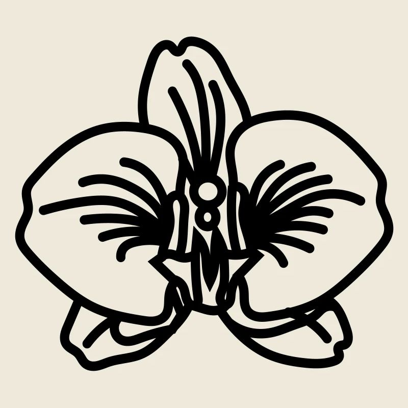 Orchidee