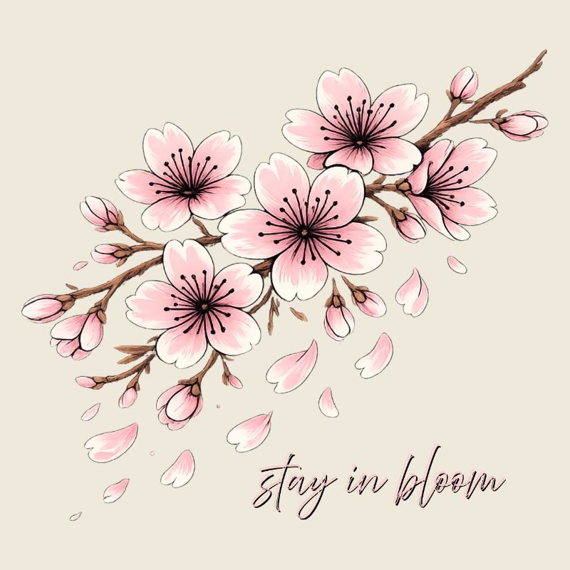 Kirschblüte Kirsche Blüte Cherry Blossom