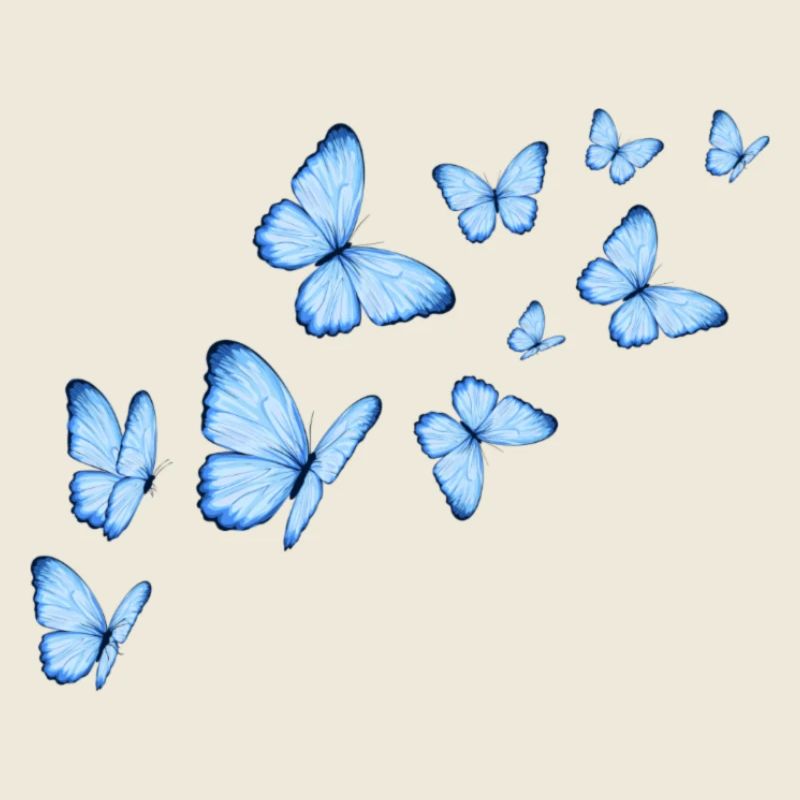 Butterflies