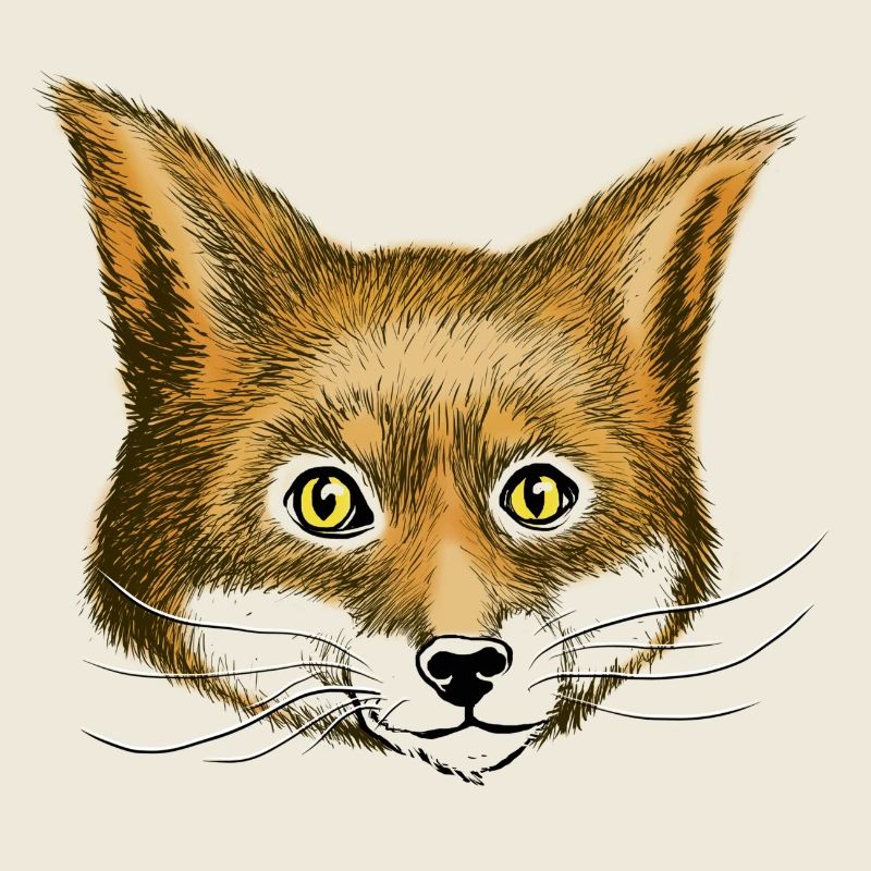 Fuchs the fox